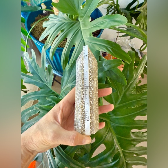 Ocean Jasper Tower - Picture 5 of 5